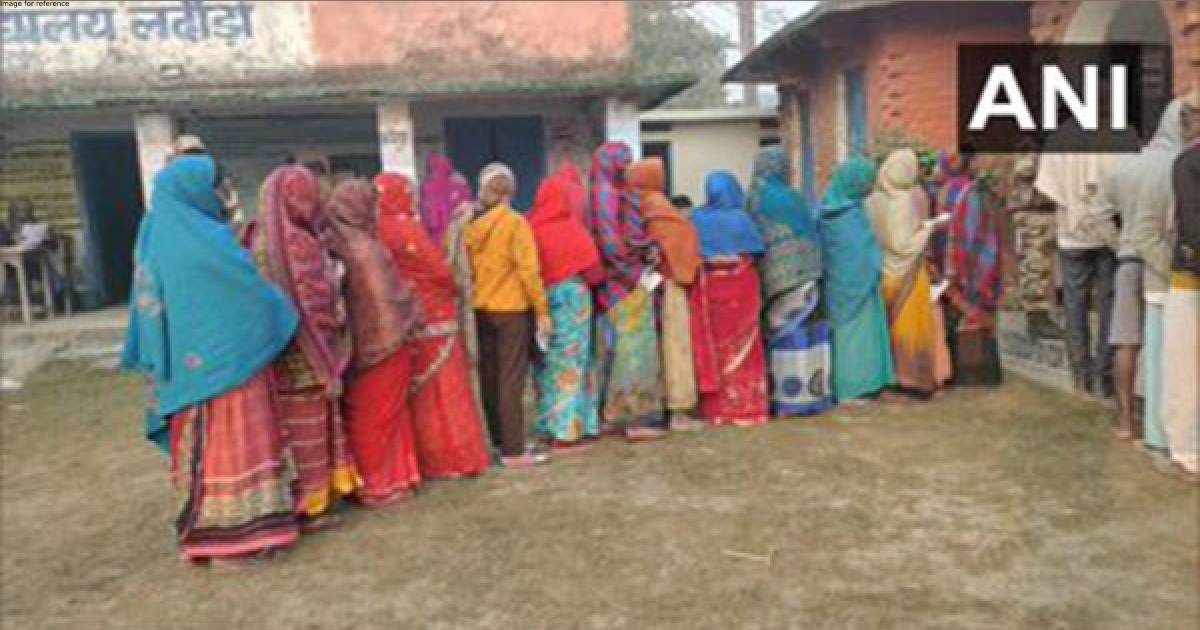 Voter turnout in 6 assembly seats: Rampur lowest till 11 am, Bhanupratappur sees 31.27 pc